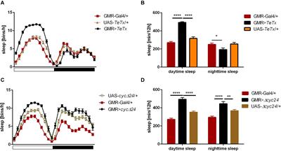 Communication Among Photoreceptors and the Central Clock Affects Sleep Profile